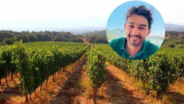 L’enologo Andrea Pala: “Il Vermentino di Gallura è il re dei vini dell’estate 2023. I turisti italiani e stranieri lo hanno preferito ai grandi vini nazionali famosi in tutto il mondo