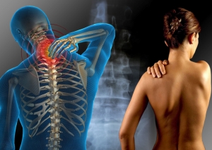 Nuove linee guida per i contributi per fibromialgia