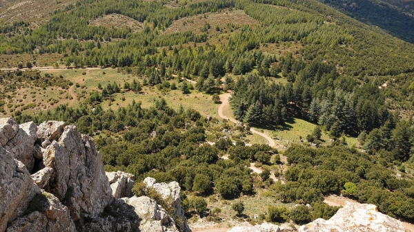 comuni montani, saranno finanziati tutti i progetti idonei beneficiari  del fondo di sviluppo delle montagne italiane
