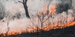 Procedure operative della Protezione civile comunale per rischio incendio a Cagliari