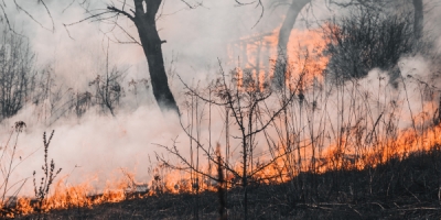 Procedure operative della Protezione civile comunale per rischio incendio a Cagliari