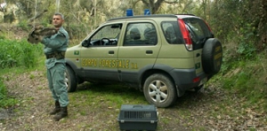 Al via il bando per nuovi agenti forestali, l&rsquo;assessora Motzo: &ldquo;Proteggere il territorio, costruire il futuro&rdquo;