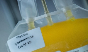 Primo paziente Covid trattato con il plasma iperimmune in Sardegna