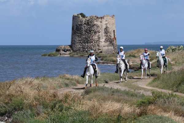 Immagini che conducono lontano: i team equestri e la sfida nel cuore di una Sardegna imbattibile