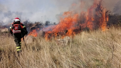 Flotta Canadair, la Laconi scrive al Ministro dell&rsquo;Interno: &ldquo;Garantire la copertura aerea della Sardegna per la Campagna AIB 2026&rdquo;