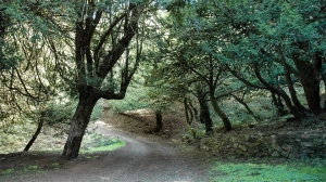Ambiente: 56,8 milioni per parchi, verde e coste. La Sardegna investe sull&rsquo;infrastruttura naturale