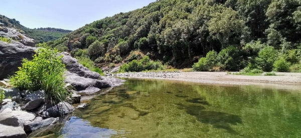 Ferragosto salato, 15 consigli del Codacons per risparmiare