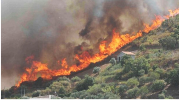 Campagna antincendio 2025. Ad Abbasanta l'incontro tra la Protezione Civile e volontari
