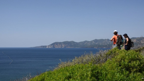 Certificazioni linguistiche: contributi a fondo perduto per le guide turistiche