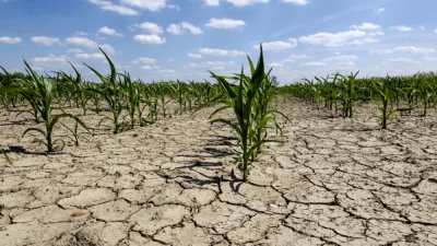 Siccit&agrave;, la Regione chieder&agrave; a Enel 25 mln mc d'acqua per Campidano Meridionale e Isili