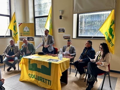 Coldiretti, 'dopo 4 anni da roghi nel Montiferru 40 milioni mai arrivati'