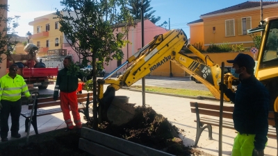 Selargius, dal Comune 130mila euro per piantare 200 nuovi alberi