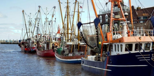 Agricoltura, bandi innovativi a sostegno del settore pesca costiera e acquacoltura, 10.500.000 euro le risorse messe a disposizione