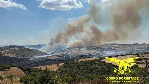 Sassari intensifica la lotta agli incendi boschivi: al via le campagne di sensibilizzazione