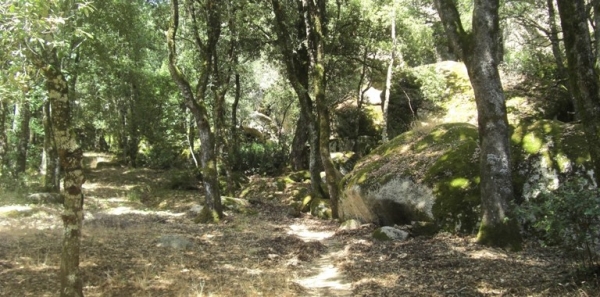 Oltre 48 milioni per la scuola forestale a Nuoro, i collegamenti stradali per l&rsquo;Einstein Telescope e una rsa a Oliena